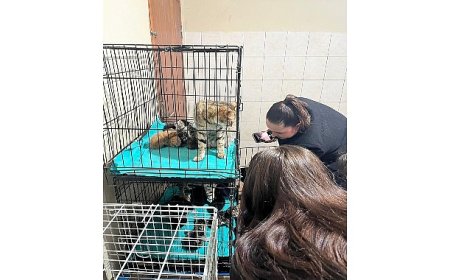 Patili dostlara anlamlı destek