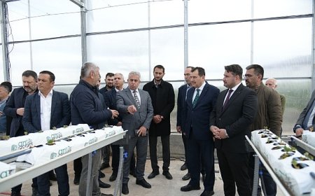 Soğucak Termal Serası’nda Üretim Başladı