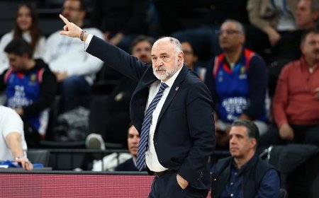 Anadolu Efes, Partizan mesaisinde