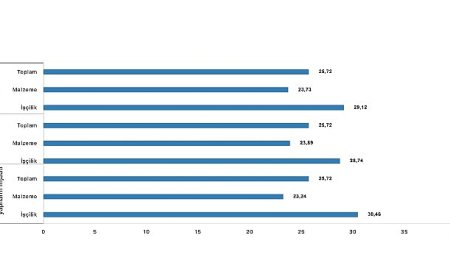 İnşaat maliyet endeksi yıllık yüzde 25,72 arttı, aylık yüzde 1,51 arttı