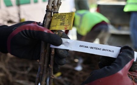 Beydağlı üreticiye çifte destek