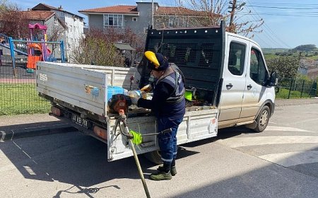 Kandıra’da Ot Biçme ve İlaçlama Seferberliği