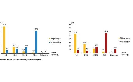 Girişim Özelliklerine Göre Uluslararası Hizmet Ticareti İstatistikleri, 2024