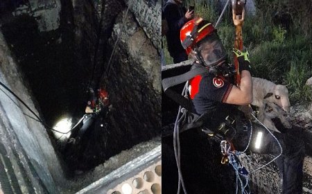 Kuyuya düşen kuzuya itfaiyeden nefes kesen kurtarma
