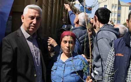 Bergama’dan Üretime Büyük Destek: Ahlat Ağaçları Aşılandı, Binlerce Fidan Dağıtıldı