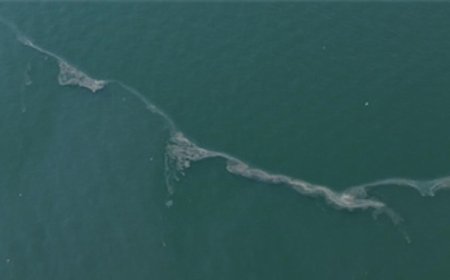 Körfez’de 12. kez dış kaynaklı kirlilik tespit edildi