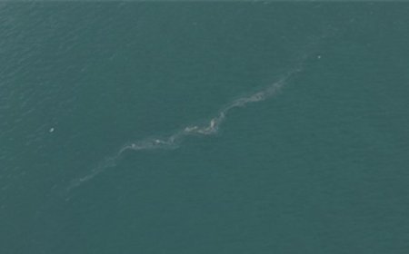 İzmir Körfezi’nde 13. dış kaynaklı kirlilik vakası