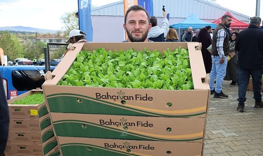 Kocaeli’de çiftçilere sebze fidesi desteği