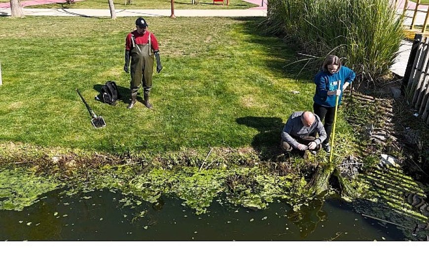 İzmit Millet Bahçesi’nde su göletine bilimsel çalışma
