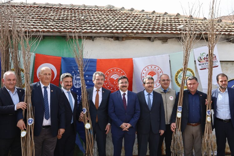 Bursa’da Mudanyalı çiftçilere Trabzon hurması fidanı dağıtıldı