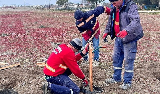 kum-zambaklari-koruma-altinda.jpg