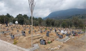 son-bir-yilda-5-ilceye-26-bin-400-gomu-kapasiteli-mezarlik.jpg