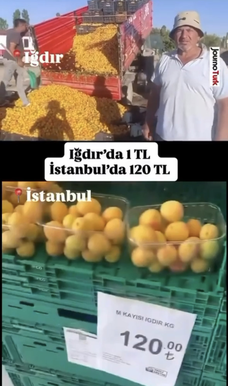 gusmtvxxgaaryki-1751297662-932-x750
