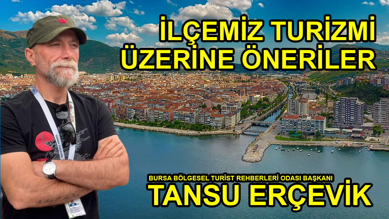 tansu erçevik-