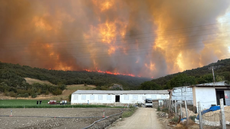 gzdbtkixgaatddm-1756402755-315-x750