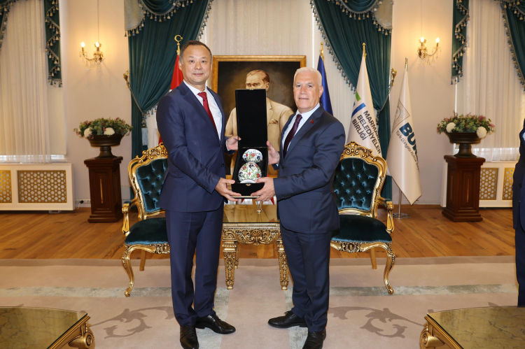 36016-mty4yjzhnd-1756812709-332-x750