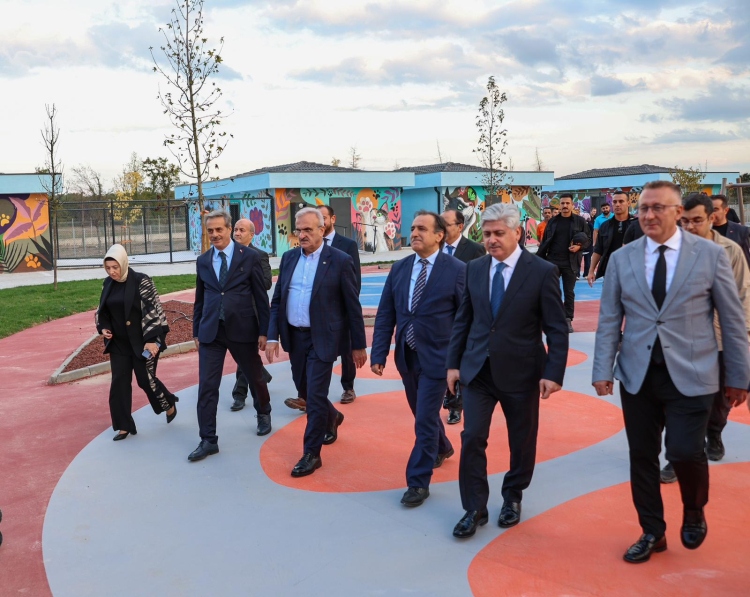 4-3-1759662557-80-x750