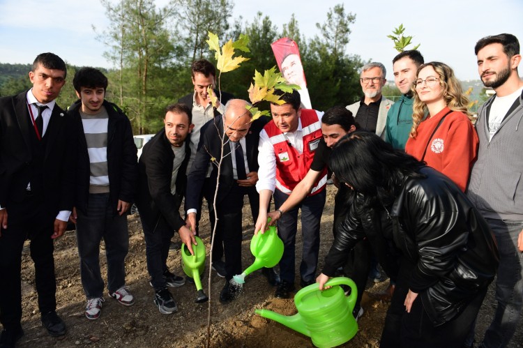 1kitap-1-fidan-4-1763799290-539-x750