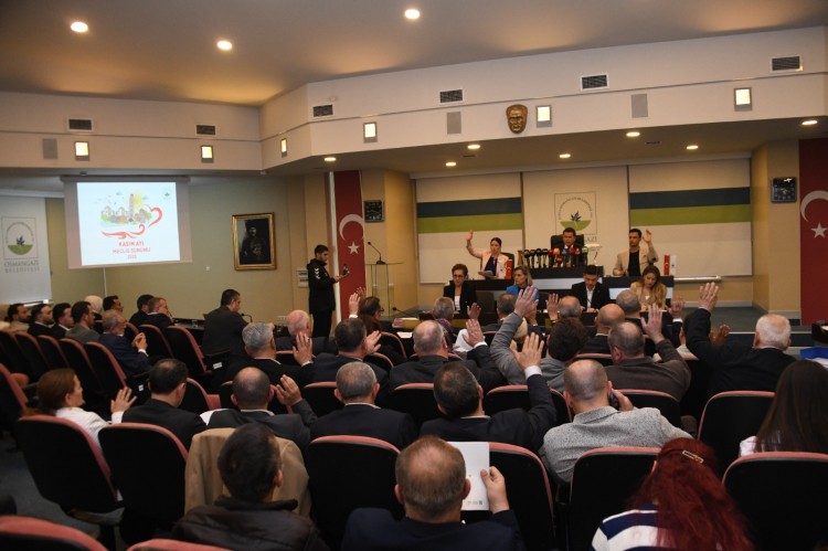 3-15-1762368624-11-x750