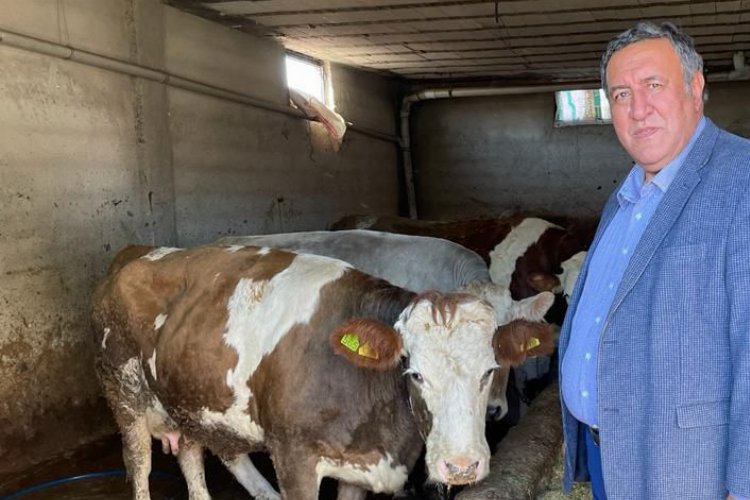 CHP’li Gürer süt üreticilerinin sesi oldu