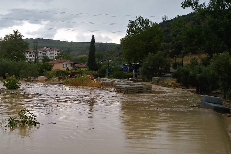 Bursa Mudanya’da ‘sağanak’ teslimiyet! 260 konutu su bastı, ağaçlar devrildi, dereler taştı!