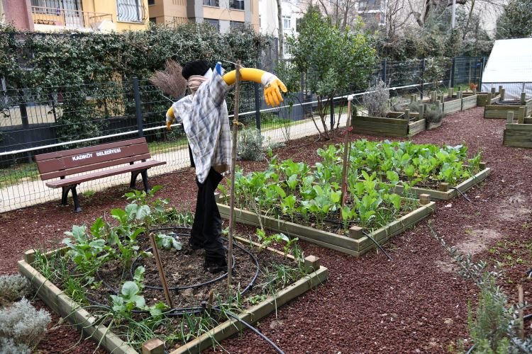 Kadıköy’de hasat zamanı: Yağmur topla bizim için