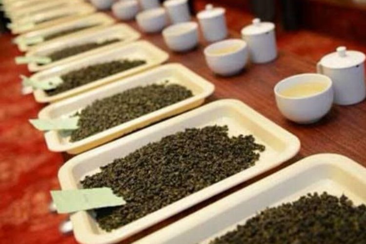 Rize’de çay üreticilerine ‘butik’ eğitim